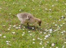 IMG_20260520_132710