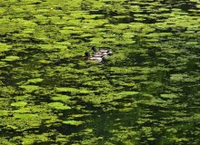IMG_20260520_133002