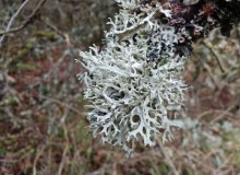 IMG_20251206_102802