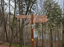 IMG_20251206_114611