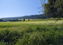 IMG_20260509_095415