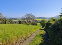 IMG_20260509_100138