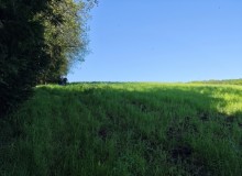IMG_20260509_101709