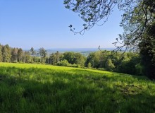 IMG_20260509_101812