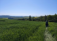 IMG_20260509_103948