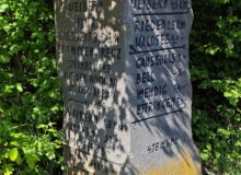 IMG_20260509_110031