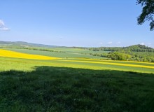 IMG_20260509_111018