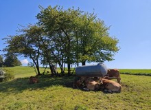 IMG_20260509_112513
