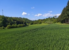 IMG_20260509_113848