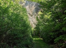 IMG_20260509_115008