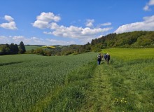 IMG_20260509_122516