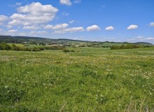 IMG_20260509_134439