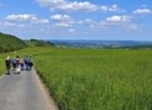 IMG_20260509_145208