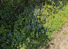 IMG_20260509_150316