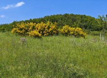 IMG_20260509_150413