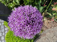IMG_20260509_161512
