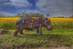 Wanderung von Witten nach Witten