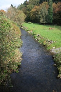 Die Leppe bei Blumenau (Rosenau) - bachaufwärts