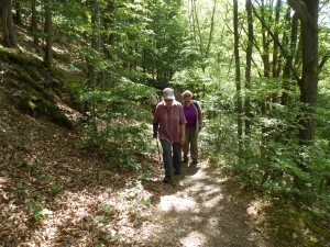 Wanderung durch das Dörsbachtal