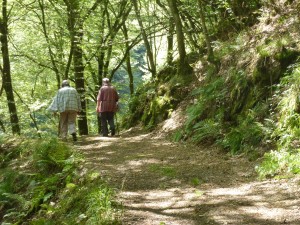 Wanderung durch das Dörsbachtal