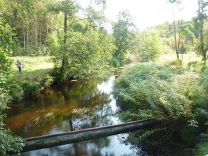 Wanderung durch das Naturschutzgebiet Pinnän, Foto: Klemens Grätz