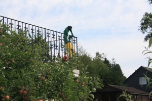 Terrassenfigur in Rommersberg