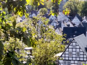 Blick auf Freudenberg