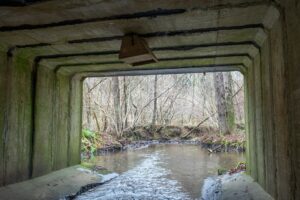 Nistkasten für Wasseramsel