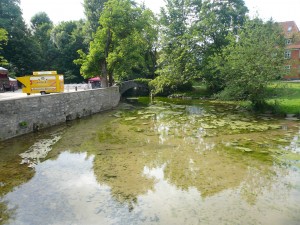 Paderquellgebiet in der Stadt/ Foto: Margit Schneider