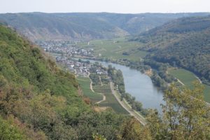 das Moseltal bei Cochem